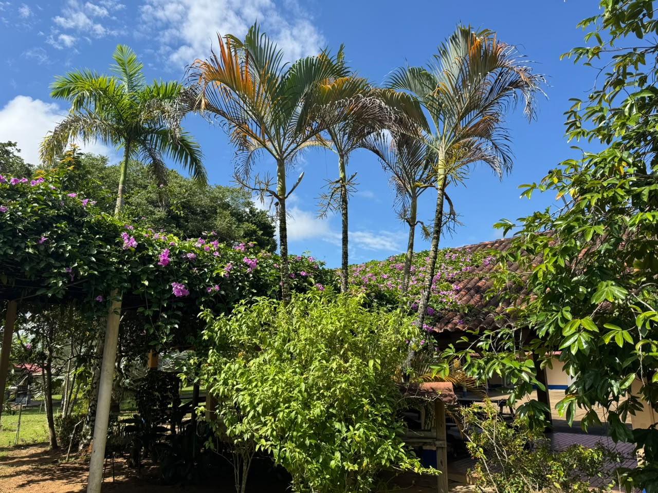 Refugio Puerto Gaitán — foto 10