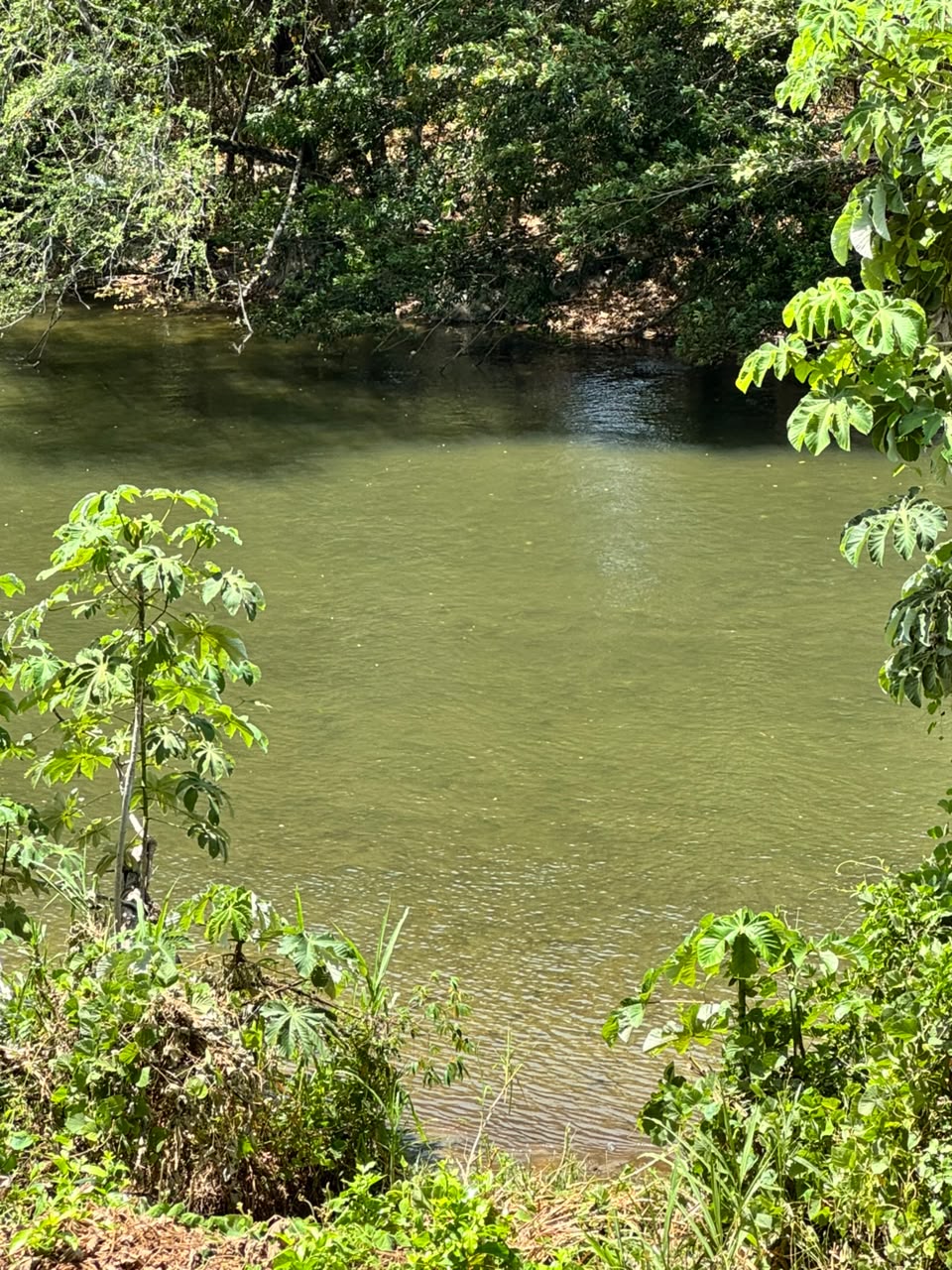Refugio Guarinó — foto 8