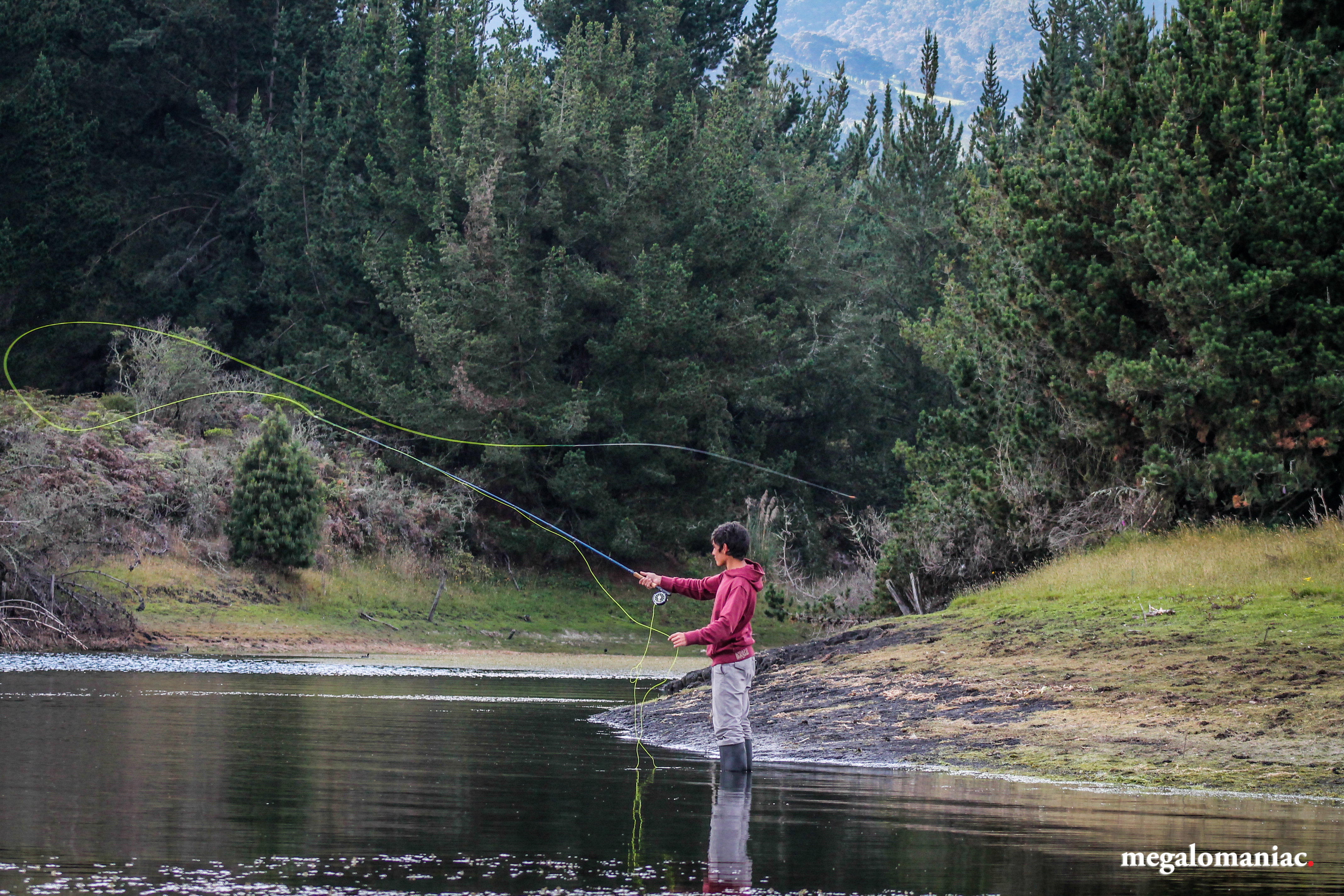 Cursos de pesca