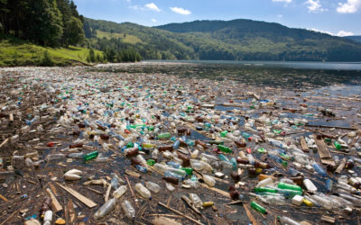 Lanzan SOS por contaminación en el Lago de Tota, en Boyacá